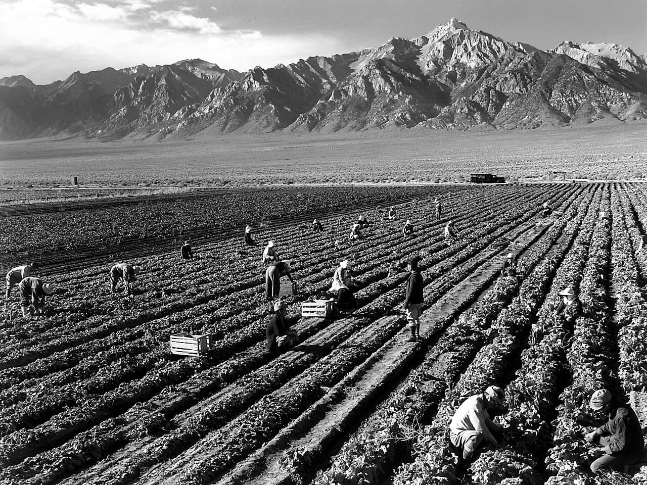 Ansel Adams - Farm workers and Mt. Williamson wallpaper in olive and charcoal tones, Full HD, 4:3 format for phone
