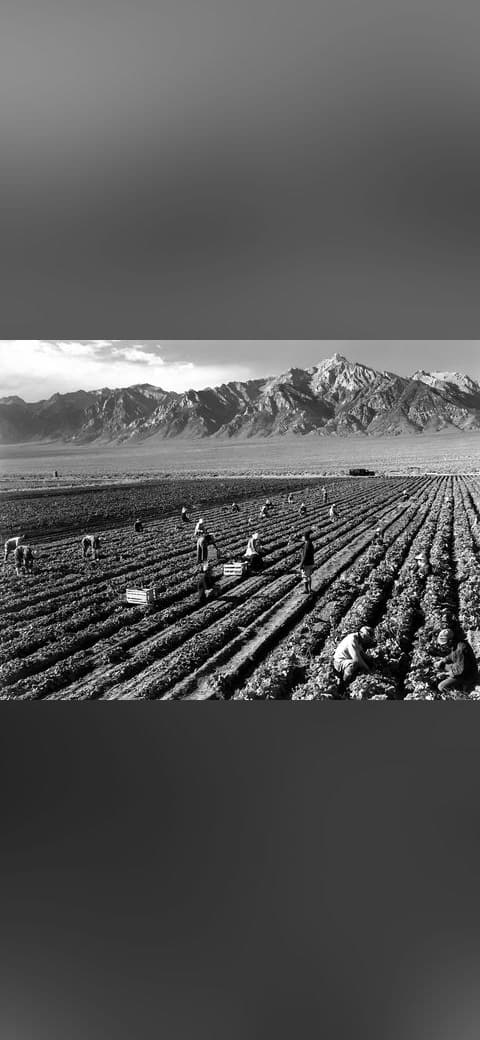 Fondo de pantalla Ansel Adams - Farm workers and Mt. Williamson en tonos oliva y carbón, Full HD, formato 4:3 para móvil
