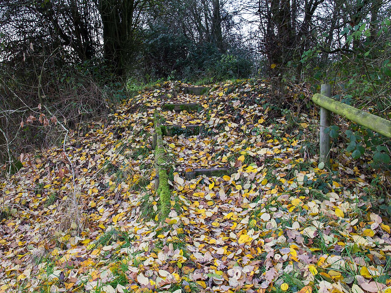 Fondo de pantalla Autumn leaves on the footpath - 3776793 en tonos carbón y carbón, Full HD, formato 4:3 para PC