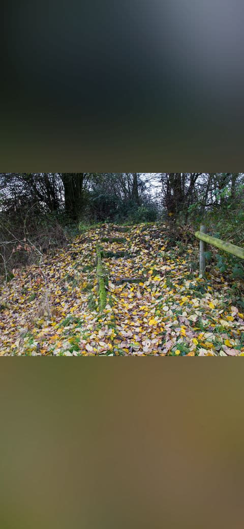 Fondo de pantalla Autumn leaves on the footpath - 3776793 en tonos carbón y carbón, Full HD, formato 4:3 para PC