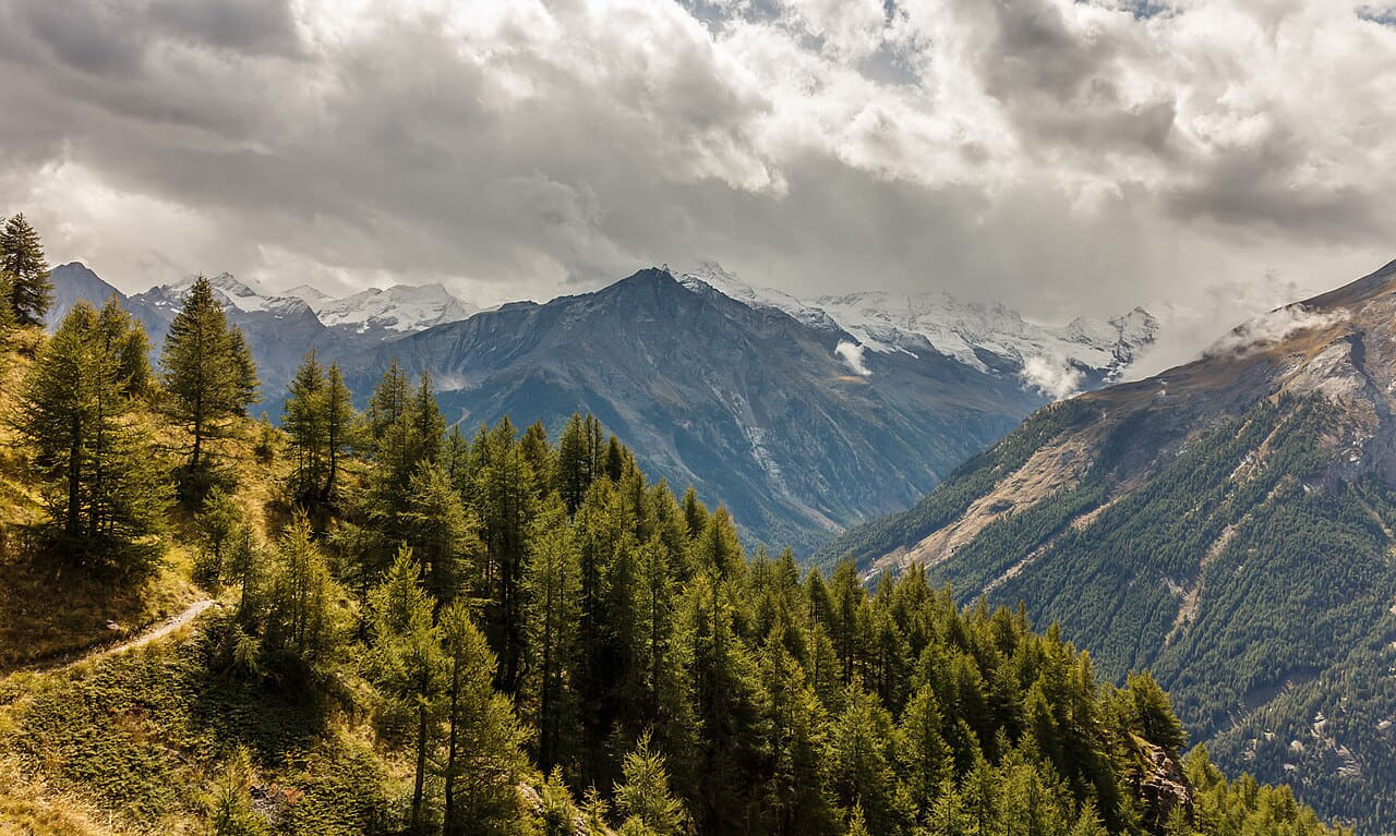 Fondo de pantalla Bergtocht van Gimillan naar Colle Tsa Sètse in 01 en tonos sage green y charcoal, Full HD, formato 16:9 para PC