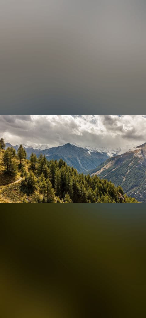 Bergtocht van Gimillan naar Colle Tsa Sètse in 01 wallpaper in sage green and charcoal tones, Full HD, 16:9 format for desktop