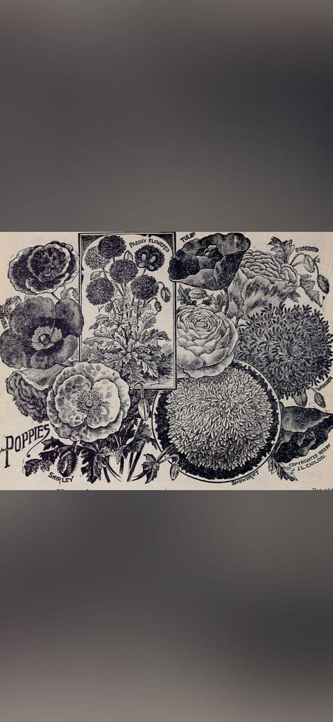 Childs' rare flowers, vegetables, and fruits 9 wallpaper in slate and olive tones, Full HD, 4:3 format for phone