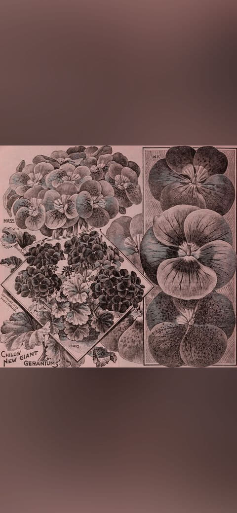 Childs' rare flowers, vegetables, and fruits wallpaper in olive and slate tones, Full HD, 1:1 format for phone