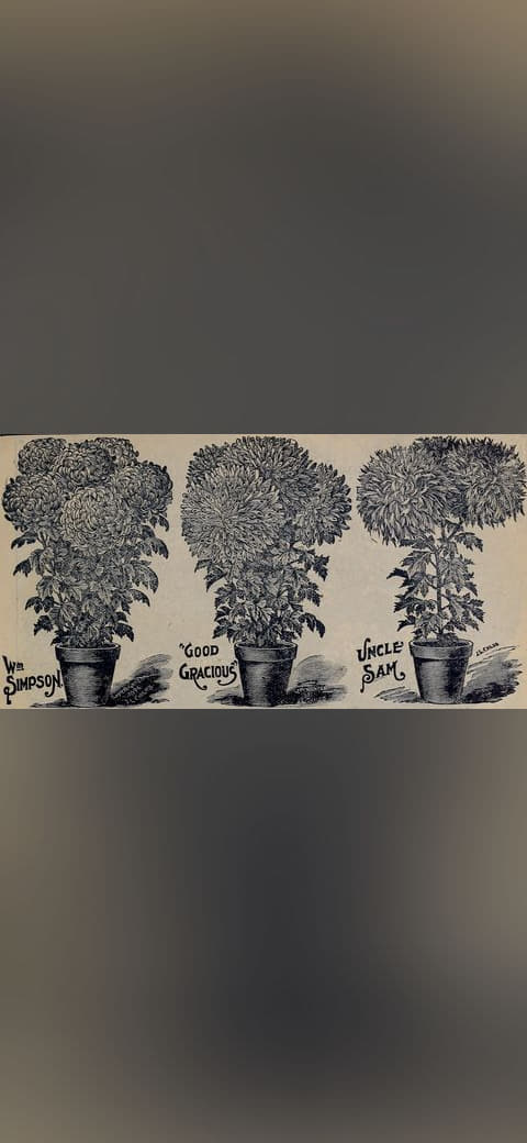 Childs' rare flowers, vegetables, and fruits 4 wallpaper in olive and sand tones, Full HD, 16:9 format for phone