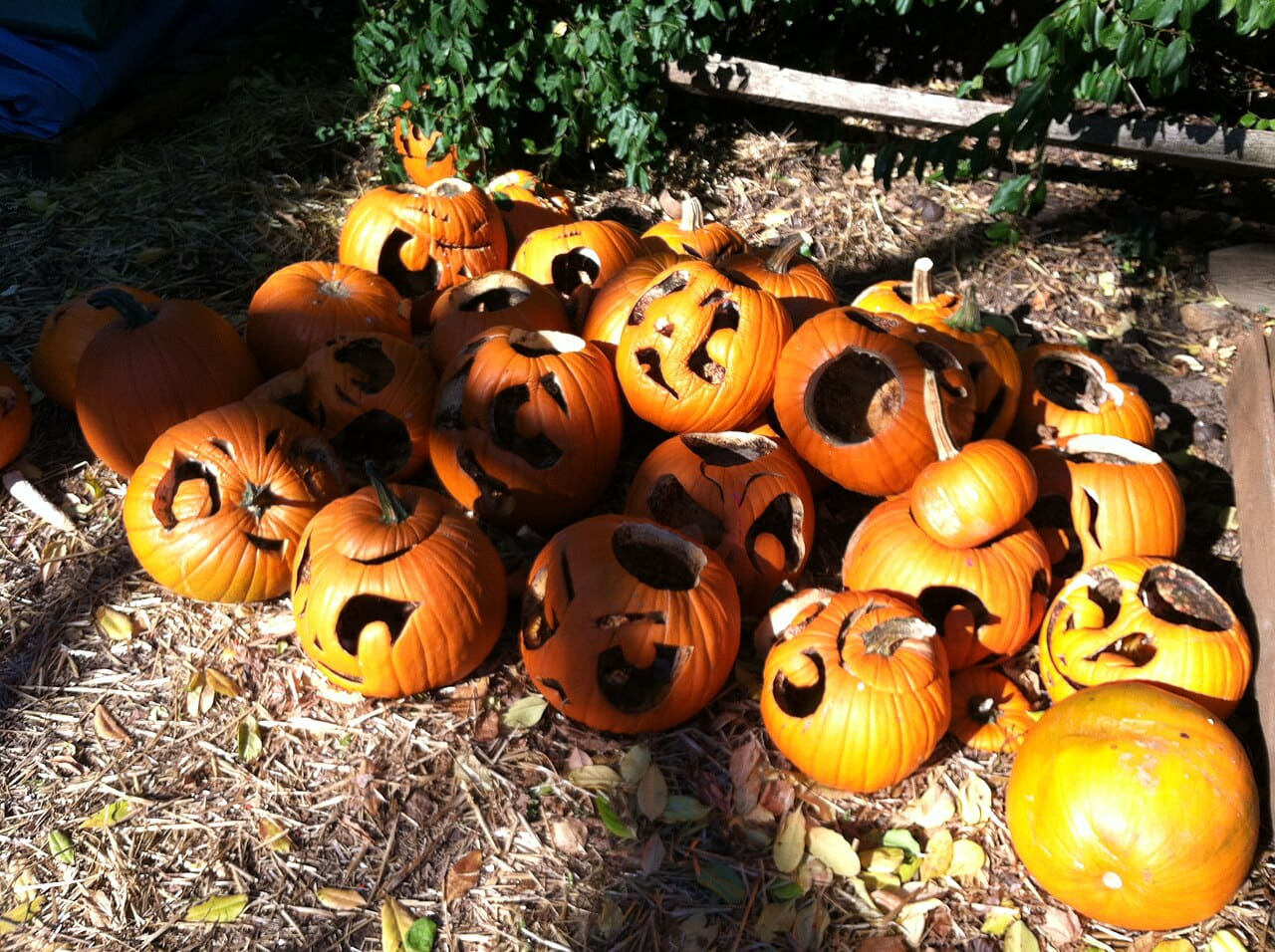 Cucurbita pepo Halloween pumpkin - Jack o' lantern… wallpaper in near-black and near-black tones, Full HD, 4:3 format for phone