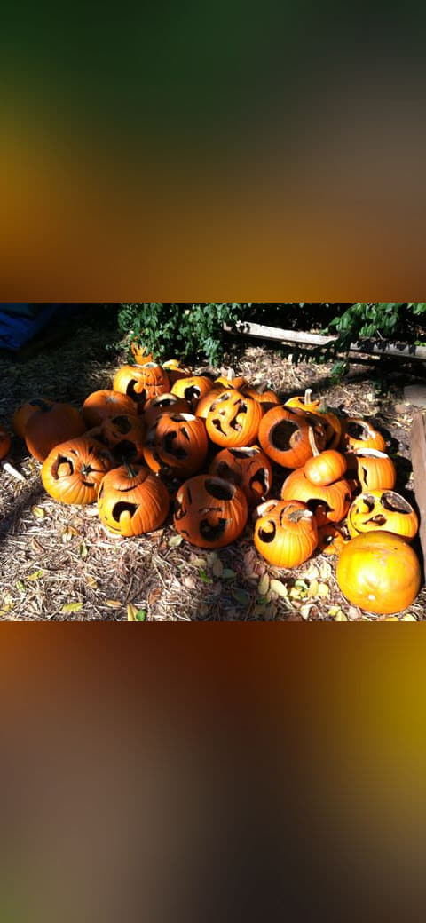 Cucurbita pepo Halloween pumpkin - Jack o' lantern… wallpaper in near-black and near-black tones, Full HD, 4:3 format for phone
