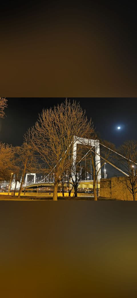 Fondo de pantalla Elisabeth Bridge, 2020 Budapest, Full moon - en tonos near-black y charcoal, Full HD, formato 4:3 para móvil