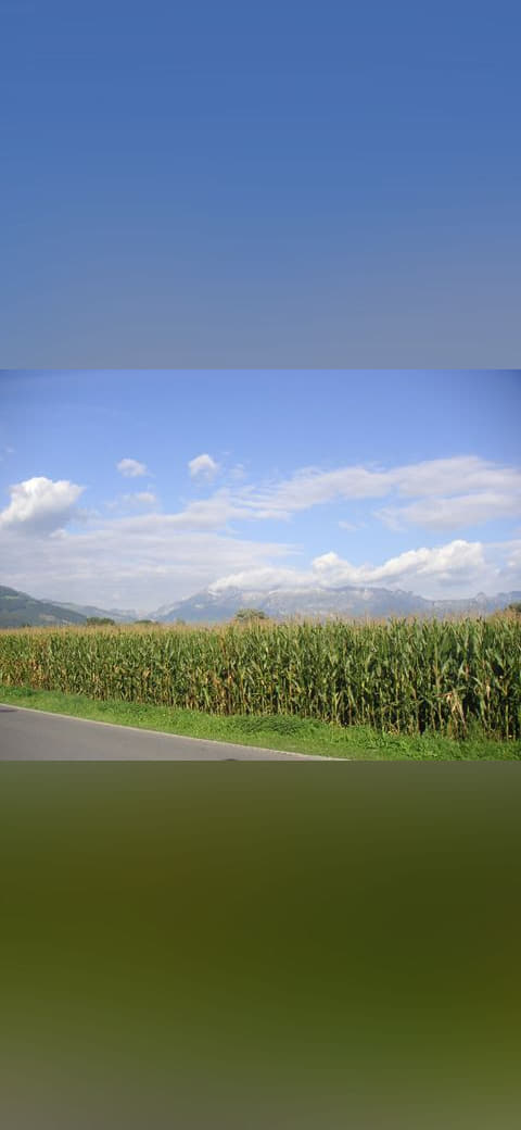 Field, corn, Liechtenstein, Mountains, Alps, Vaduz,… wallpaper in sage green and mint tones, Full HD, 4:3 format for phone