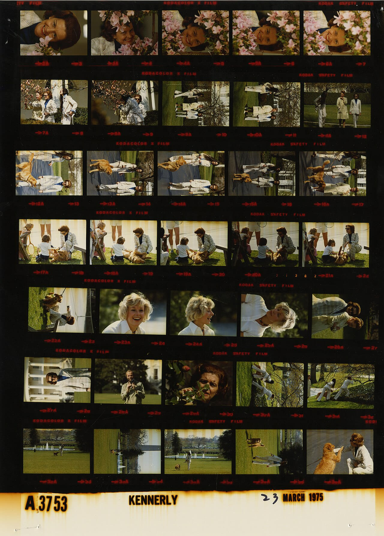 Fondo de pantalla Ford A3753 NLGRF photo contact sheet en tonos near-black y charcoal, Full HD, formato 3:4 para móvil