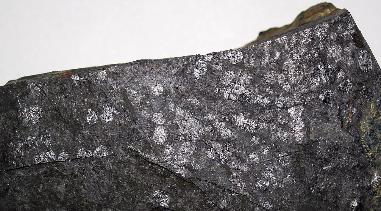 Fossiliferous cannel coal 1 wallpaper in charcoal and olive tones, Full HD, 16:9 format for phone