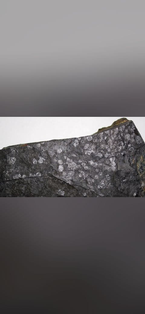Fossiliferous cannel coal 1 wallpaper in charcoal and olive tones, Full HD, 16:9 format for phone