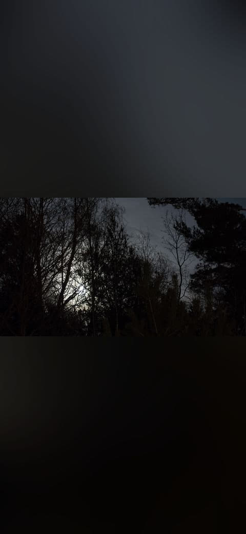 Fondo de pantalla Full moon behind branches 2 en tonos near-black y near-black, Full HD, formato 16:9 para móvil