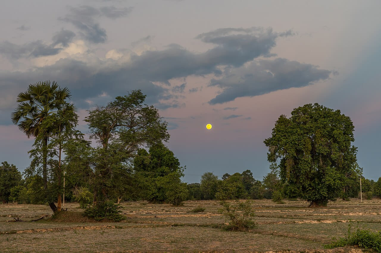 Full moon in the evening in the dry paddy fields of… wallpaper in sage green and slate tones, Full HD, 4:3 format for phone