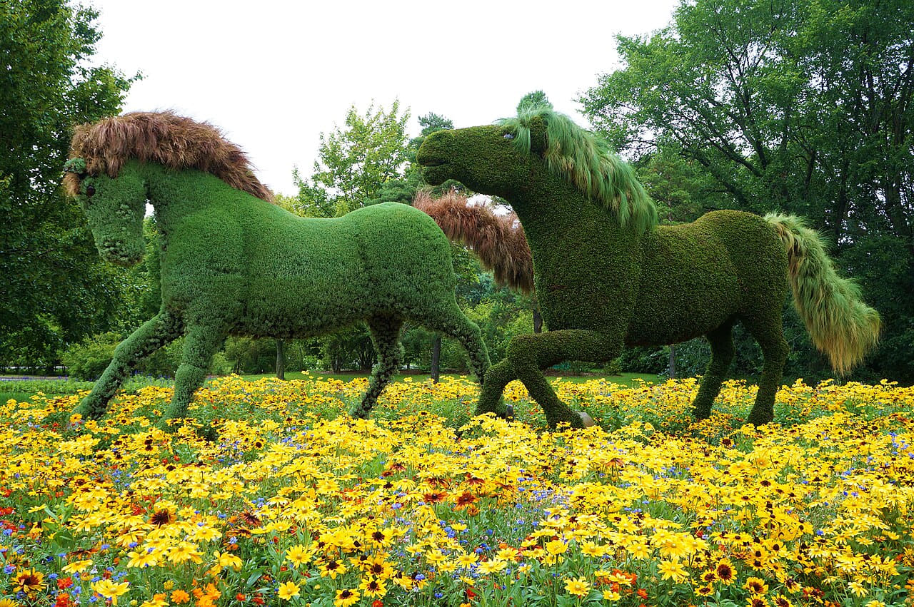 Fondo de pantalla Galloping horses - panoramio en tonos deep green y cream, Full HD, formato 4:3 para móvil