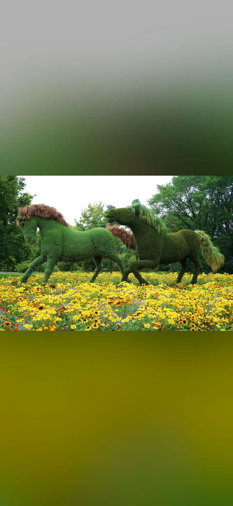 Galloping horses - panoramio wallpaper in deep green and cream tones, Full HD, 4:3 format for phone