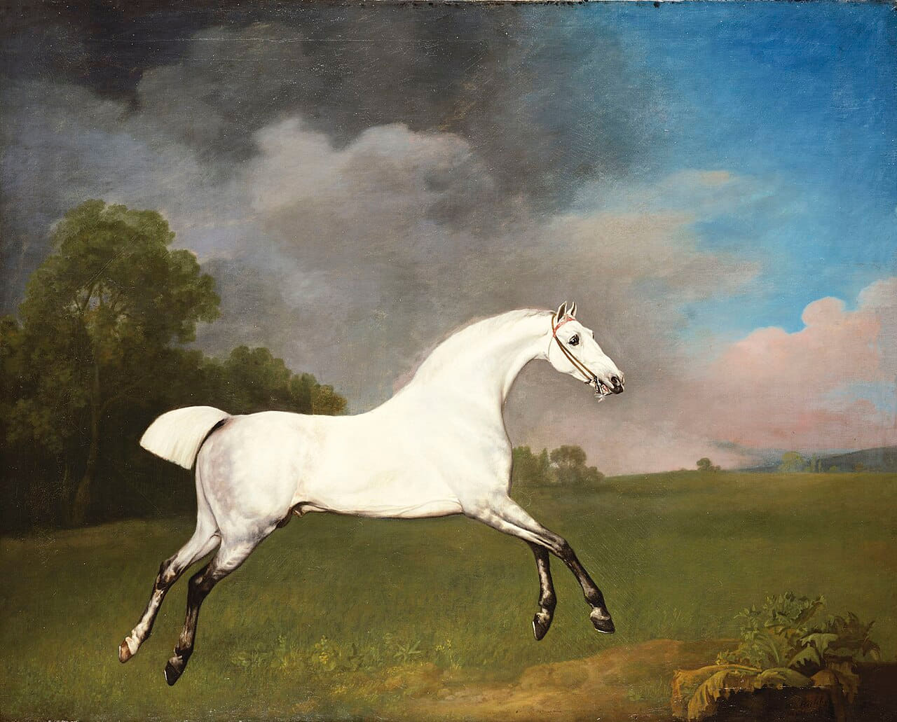 Fondo de pantalla George Stubbs - A Grey Horse - RCIN 400510 - Royal… en tonos olive y charcoal, Full HD, formato 4:3 para móvil