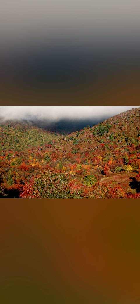 Graveyard Fields 3 wallpaper in rust and olive tones, Full HD, 4:3 format for phone