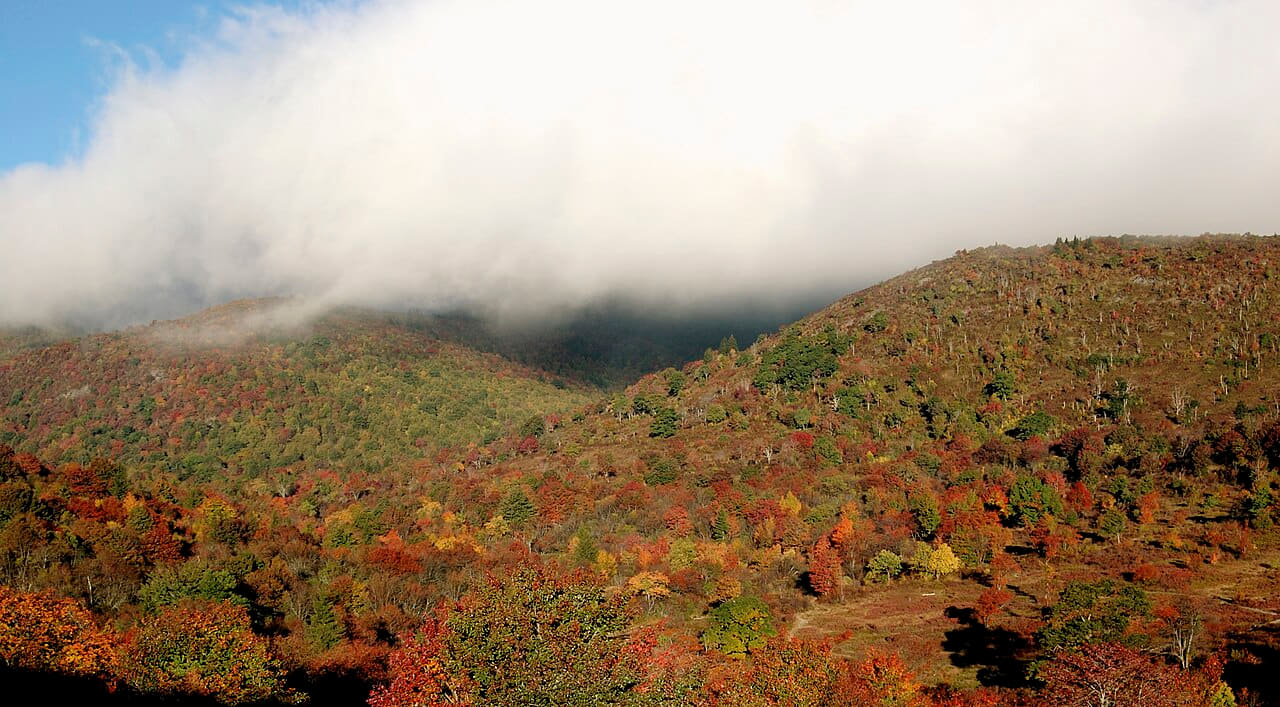 Graveyard Fields 4 wallpaper in cream and lavender tones, Full HD, 16:9 format for phone