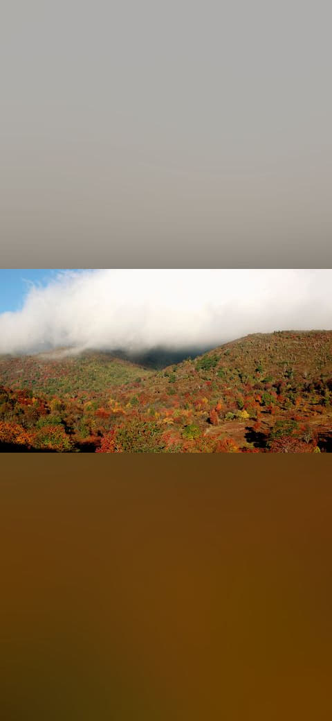 Graveyard Fields 4 wallpaper in cream and lavender tones, Full HD, 16:9 format for phone