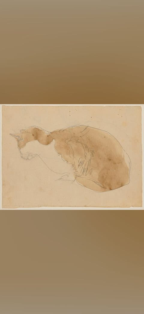 Fondo de pantalla Gwen John - Cat lying down, NMW A 15587 en tonos sand y sand, Full HD, formato 4:3 para móvil