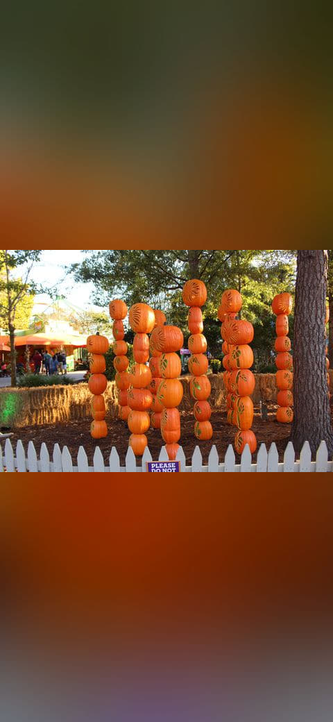 Halloween 2022 Jack-'o-lanterns 1, Wild Adventures wallpaper in charcoal and charcoal tones, Full HD, 4:3 format for phone