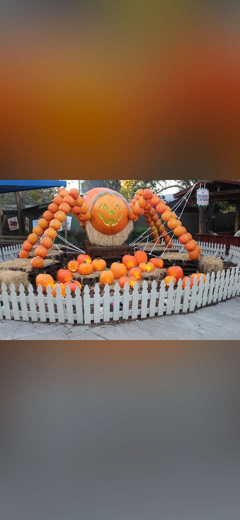 Halloween 2022 Jack-'o-lanterns 2, Wild Adventures wallpaper in sage green and near-black tones, Full HD, 4:3 format for phone