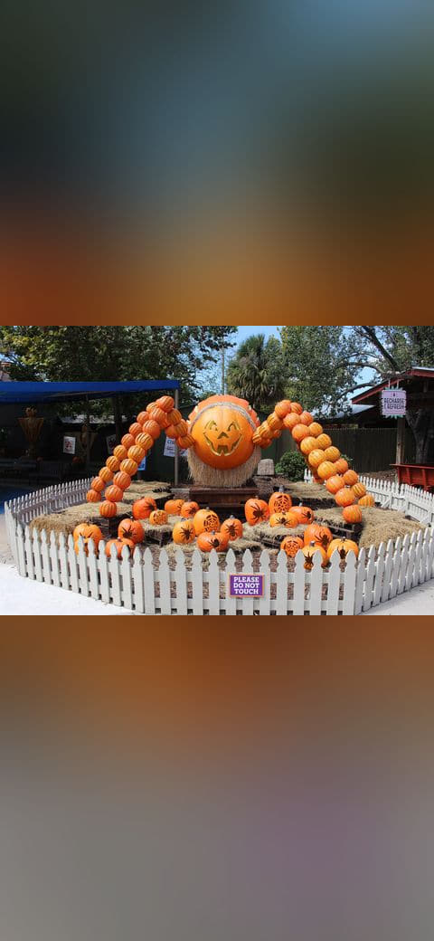 Halloween 2023 Jack-'o-lanterns 4, Wild Adventures wallpaper in near-black and sand tones, Full HD, 4:3 format for phone