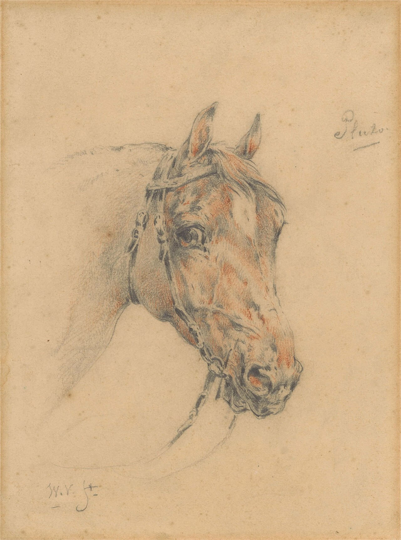 Fondo de pantalla Head of Pluto the Horse by Wouter Verschuur… en tonos sand y sand, Full HD, formato 3:4 para móvil