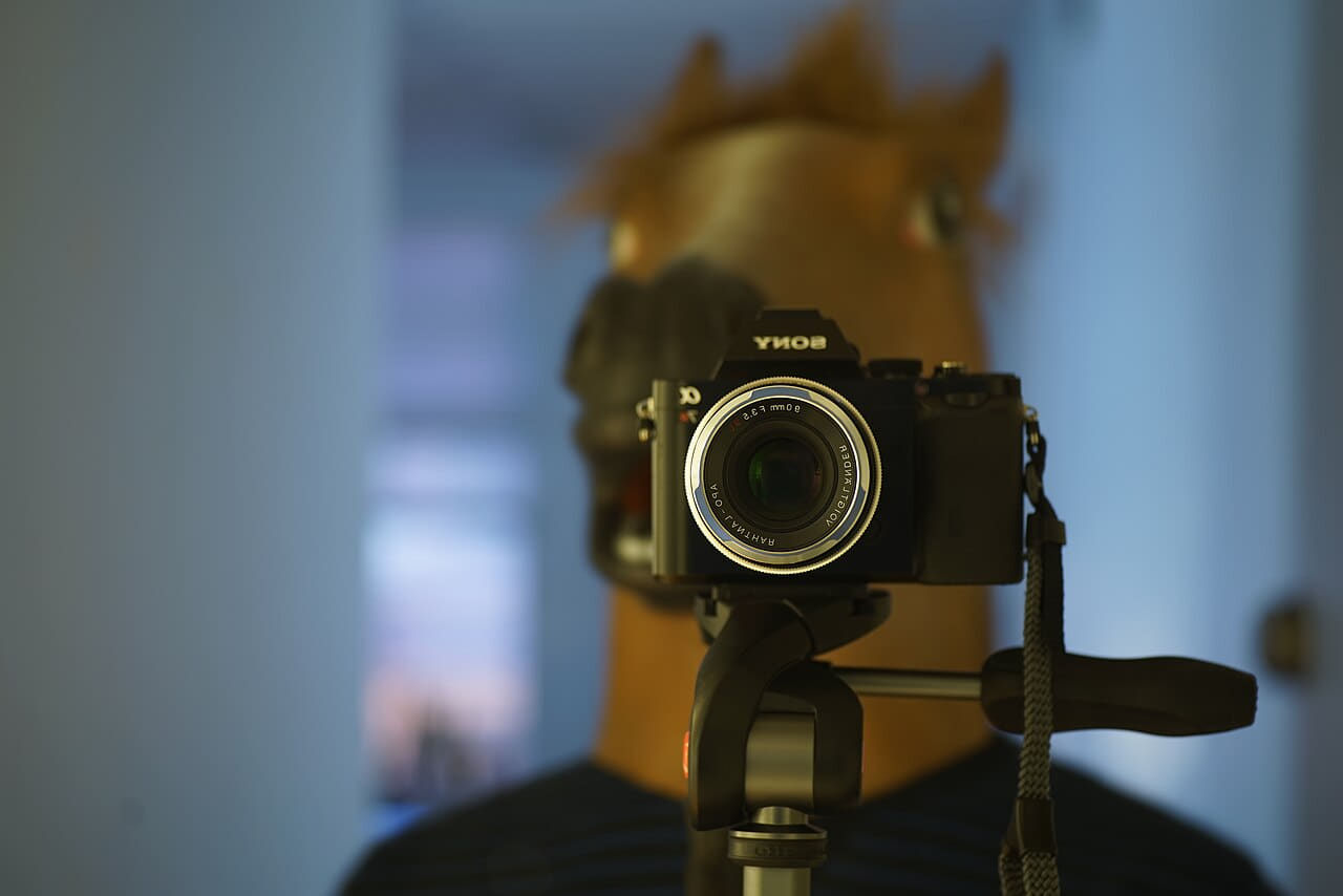 Fondo de pantalla Horse head and Voigtlaender Apo-Lanthar 90mm f3.5… en tonos slate y slate, Full HD, formato 4:3 para móvil