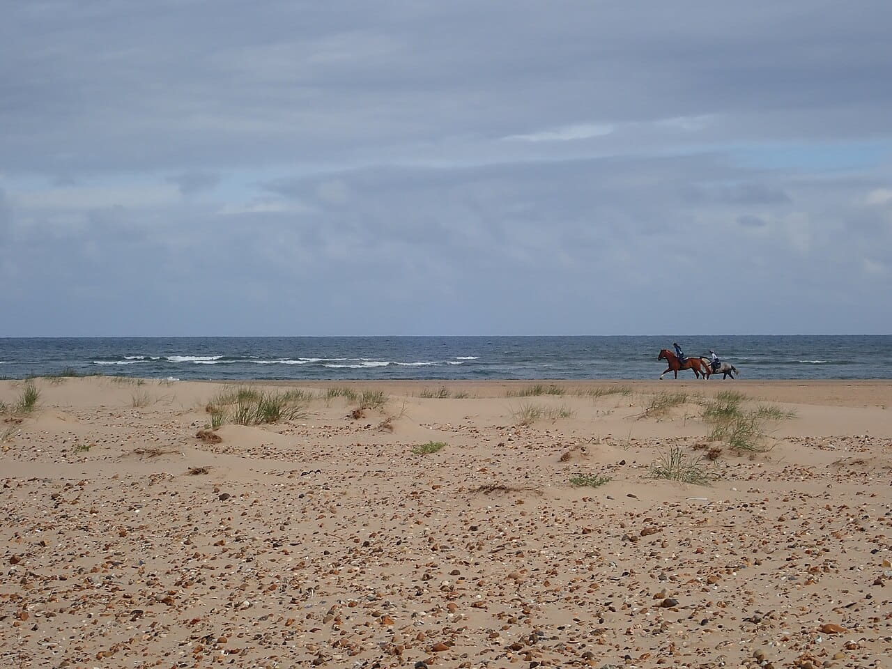 Fondo de pantalla Horses galloping on Holkham beach - 7483326 en tonos sage green y slate, Full HD, formato 4:3 para móvil