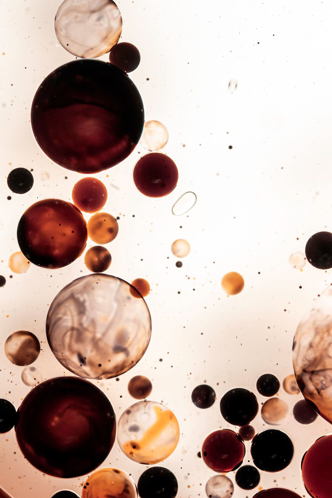 Fondo de pantalla Ink&dye100-b Flickr macro photo by Jordan Mudrack -… en tonos cream y cream, Full HD, formato 3:4 para PC