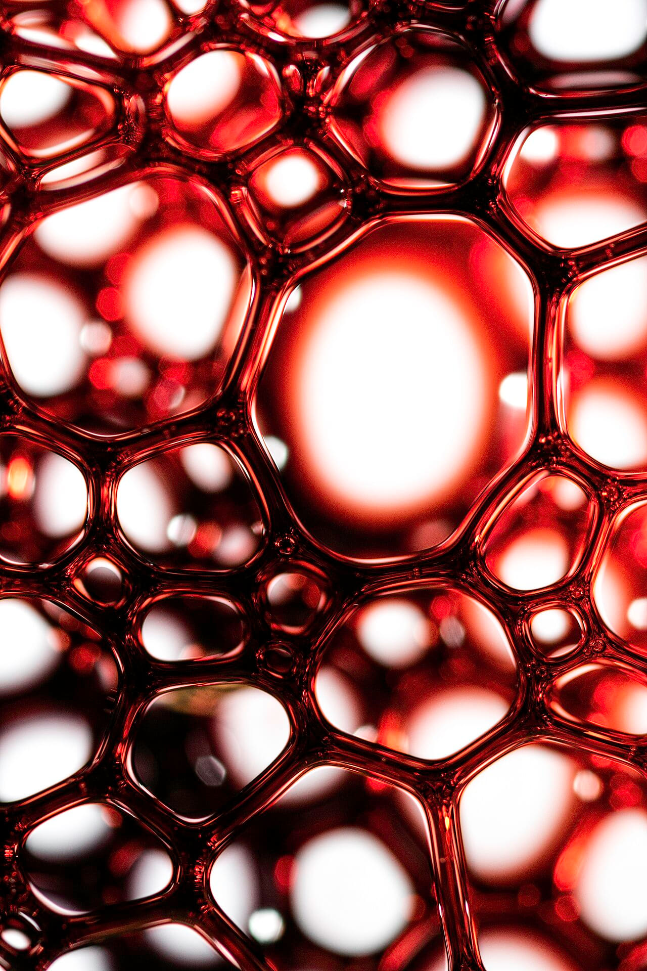 Fondo de pantalla Ink&dye117 Flickr macro photo by Jordan Mudrack -… en tonos cream y near-black, Full HD, formato 3:4 para PC