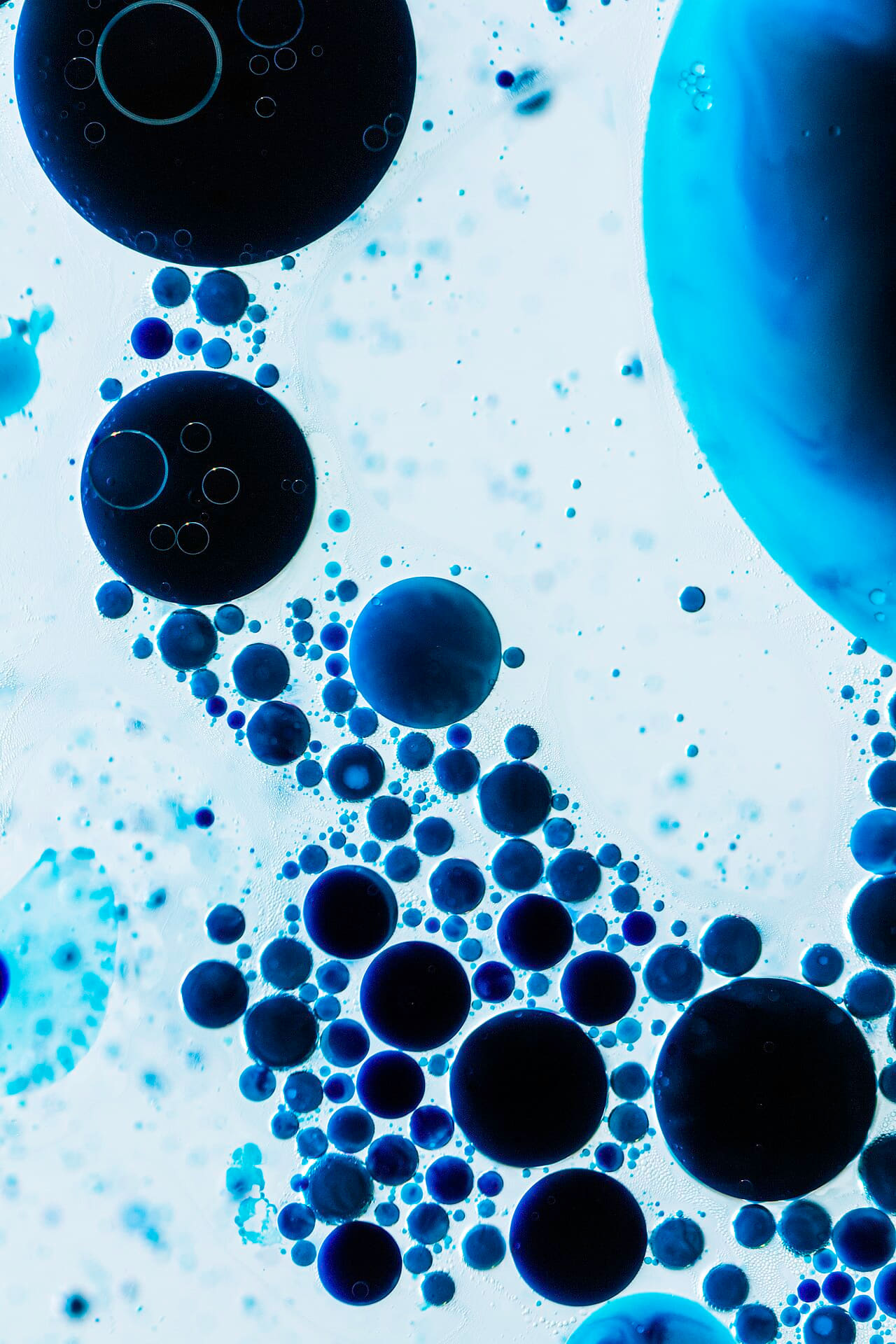Fondo de pantalla Ink&dye255 Flickr macro photo by Jordan Mudrack -… en tonos pale sky y near-black, Full HD, formato 3:4 para PC