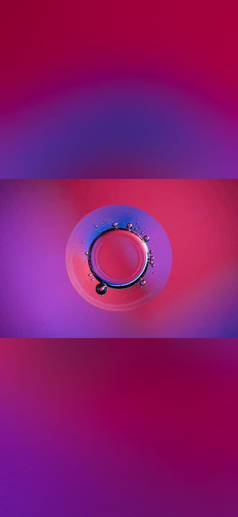 Fondo de pantalla Ink&dye351 Flickr macro photo by Jordan Mudrack -… en tonos crimson y violet, Full HD, formato 4:3 para PC