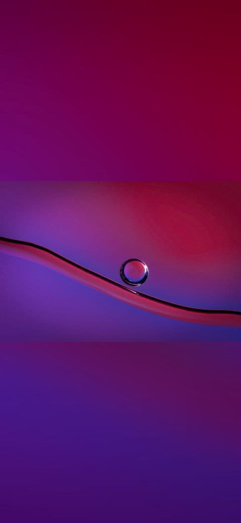Fondo de pantalla Ink&dye352 Flickr macro photo by Jordan Mudrack -… en tonos violet y violet, Full HD, formato 4:3 para PC