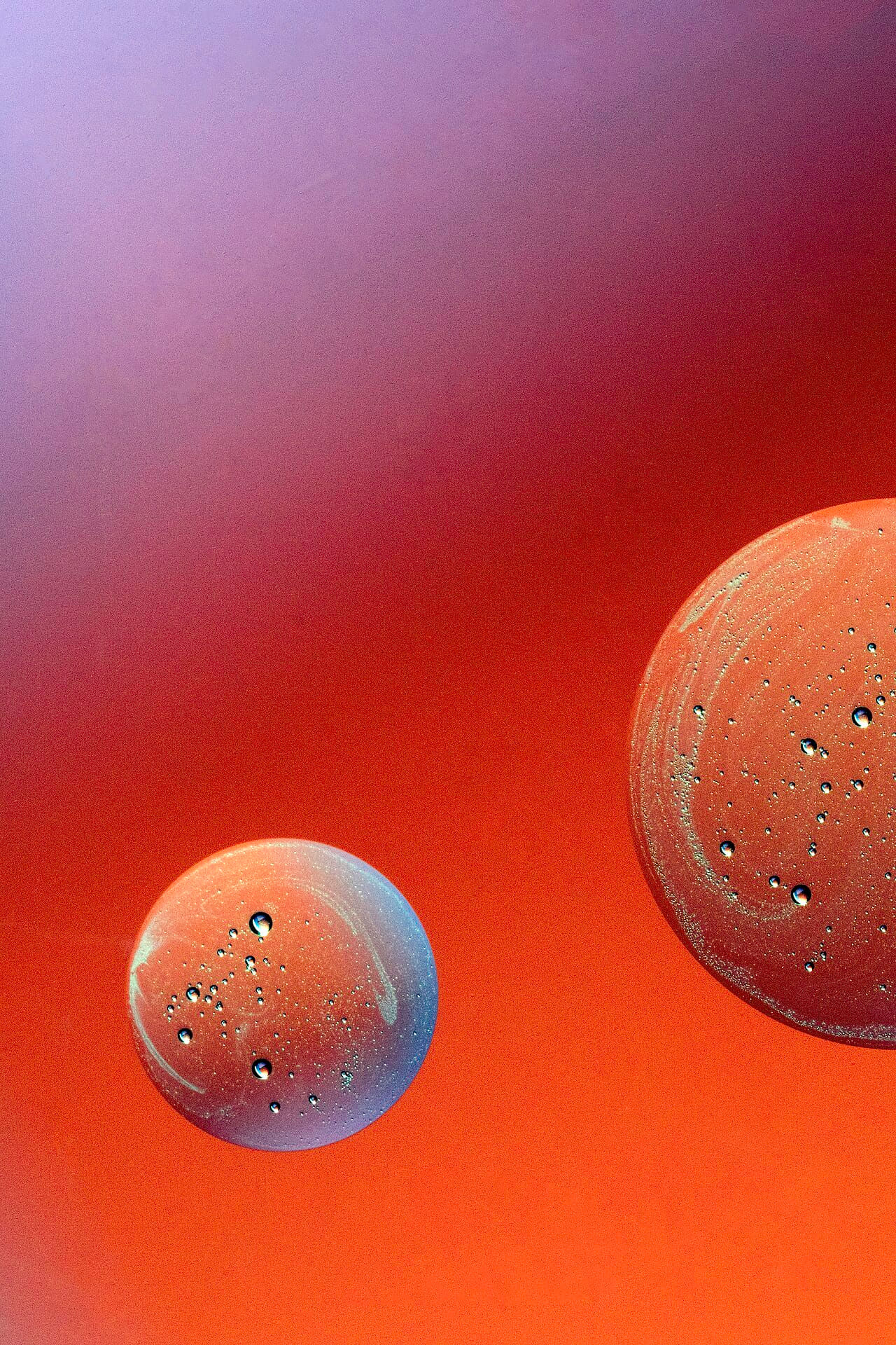 Fondo de pantalla Ink&dye353 Flickr macro photo by Jordan Mudrack -… en tonos burnt orange y crimson, Full HD, formato 3:4 para PC