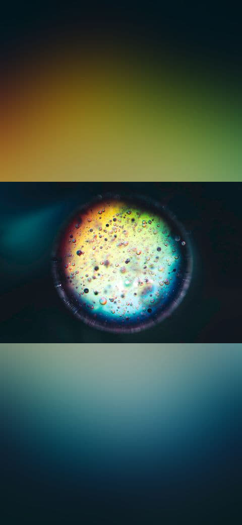 Fondo de pantalla Ink&dye451 Flickr macro photo by Jordan Mudrack -… en tonos near-black y near-black, Full HD, formato 4:3 para PC