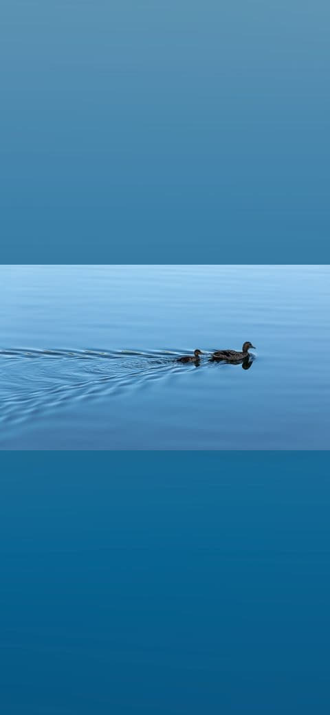 Fondo de pantalla Kopenhagen , Sankt-Joergens-See en tonos sky blue y slate, Full HD, formato 16:9 para móvil