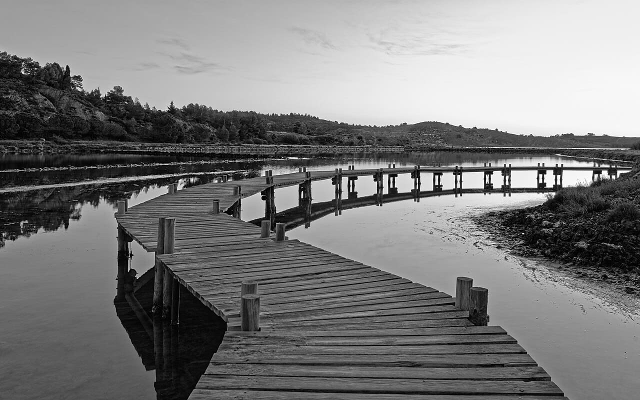 Landscape in Peyriac-de-Mer, february 2018 BW wallpaper in olive and charcoal tones, Full HD, 16:9 format for phone