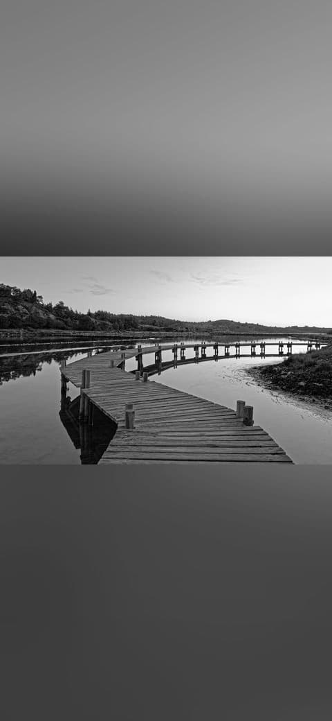 Landscape in Peyriac-de-Mer, february 2018 BW wallpaper in olive and charcoal tones, Full HD, 16:9 format for phone