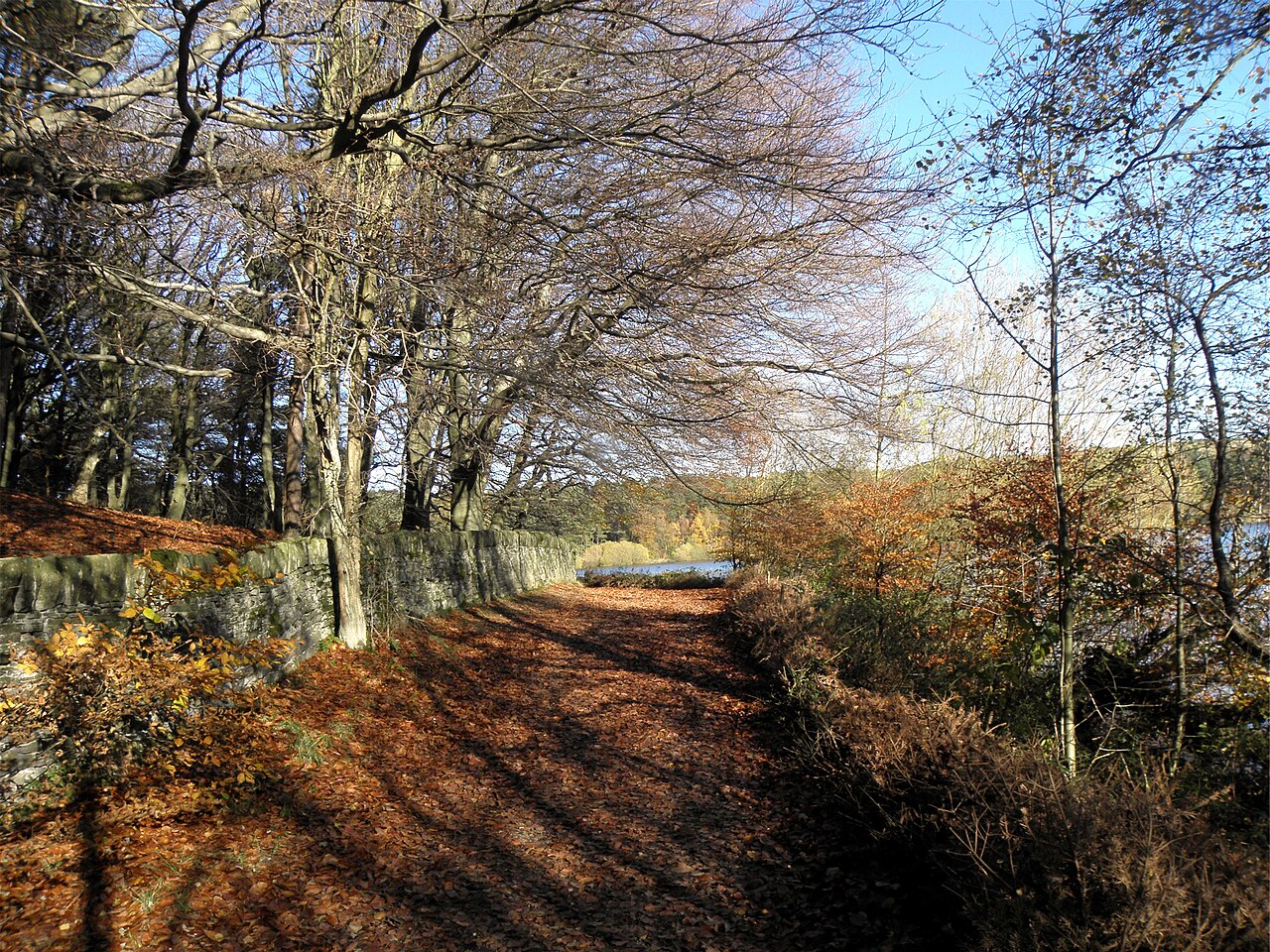 Fondo de pantalla Leaves on the path round Ogden Water - 2147932 en tonos carbón y casi negro, Full HD, formato 4:3 para PC