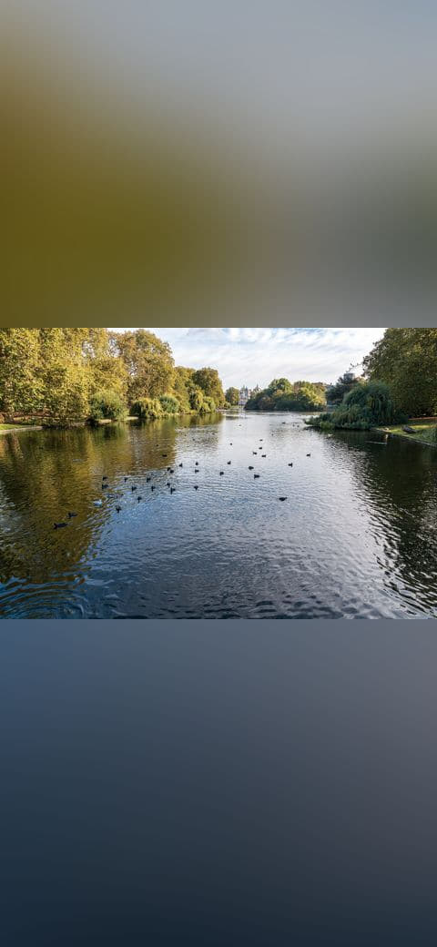 Fondo de pantalla London, St. James's Park en tonos charcoal y charcoal, Full HD, formato 4:3 para móvil