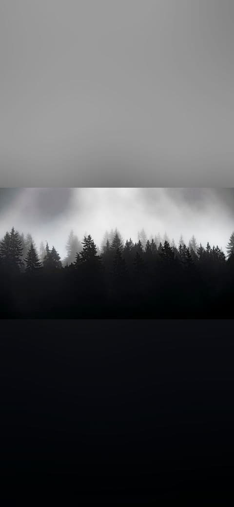 Misty forest 2 Whatcom County wallpaper in near-black and lavender tones, Full HD, 16:9 format for phone