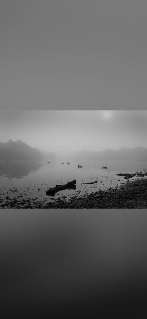 Misty Lake 4 wallpaper in sage green and slate tones, Full HD, 4:3 format for phone