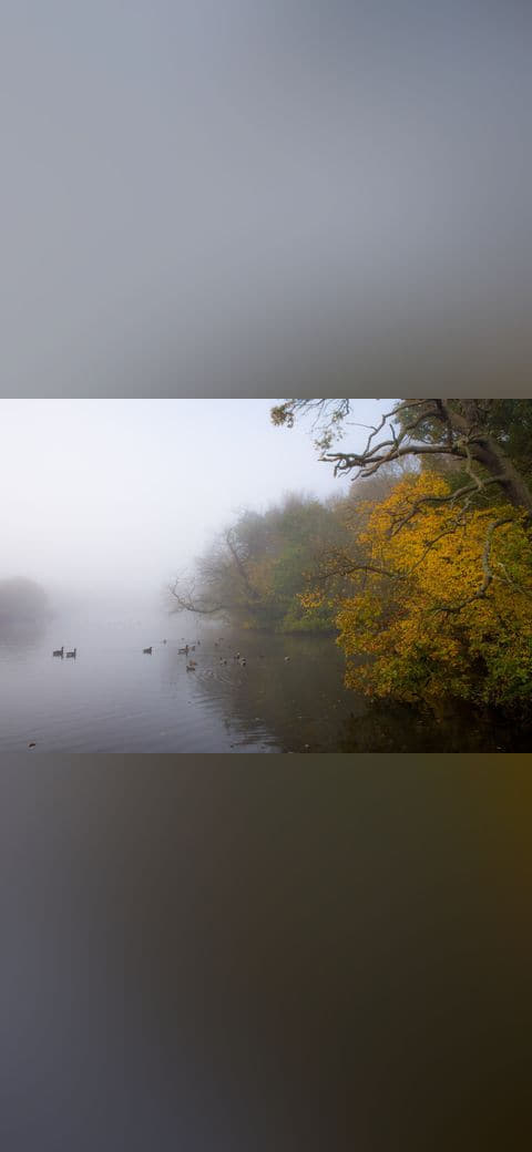 Misty Lake 5 wallpaper in lavender and lavender tones, Full HD, 4:3 format for phone