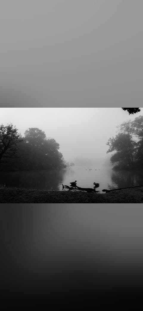 Misty Lake 8 wallpaper in near-black and lavender tones, Full HD, 4:3 format for phone