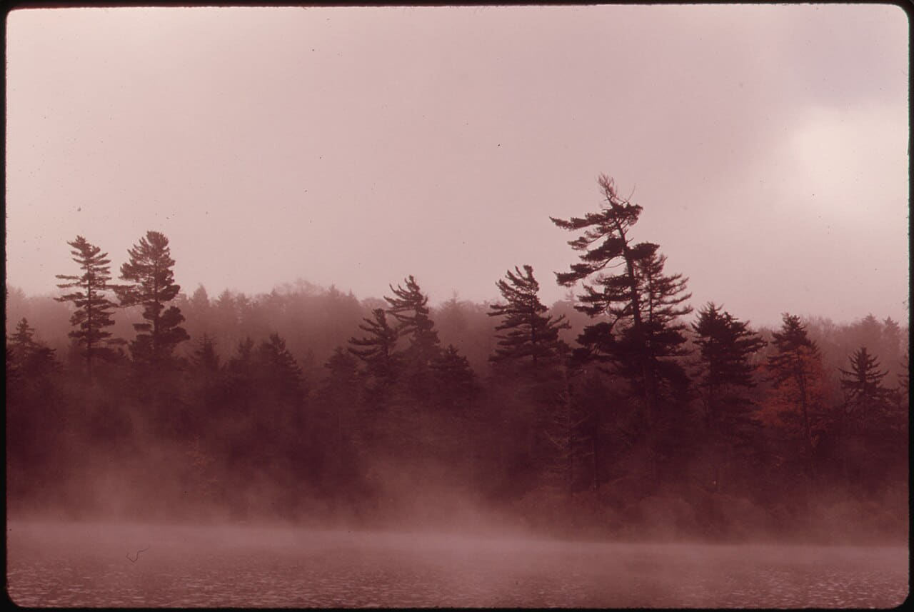 MISTY MORNING ON TWITCHELL LAKE SHOWING 554754 wallpaper in blush and charcoal tones, Full HD, 4:3 format for phone