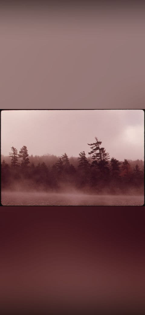 MISTY MORNING ON TWITCHELL LAKE SHOWING 554754 wallpaper in blush and charcoal tones, Full HD, 4:3 format for phone
