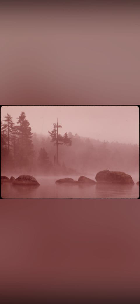 MISTY MORNING ON TWITCHELL LAKE SHOWS VIRGIN 554755 wallpaper in olive and sand tones, Full HD, 4:3 format for phone